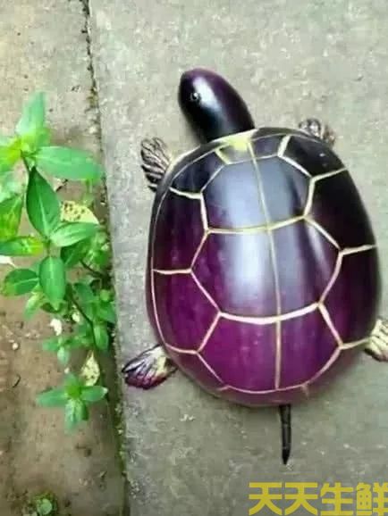 幼儿园蔬菜手工作业(图1) 幼儿园蔬菜手工作业(图1)