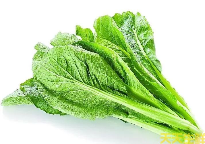 蔬菜配送—春菜(图1) 蔬菜配送—春菜(图1)