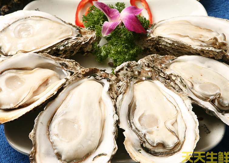 广州送菜公司分享:常见的海鲜贝类有哪些?(图9) 广州送菜公司分享:常见的海鲜贝类有哪些?(图9)