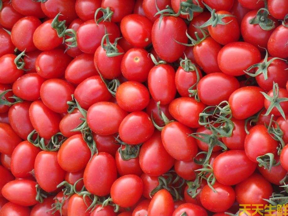 水果配送—圣女果(图3) 水果配送—圣女果(图3)