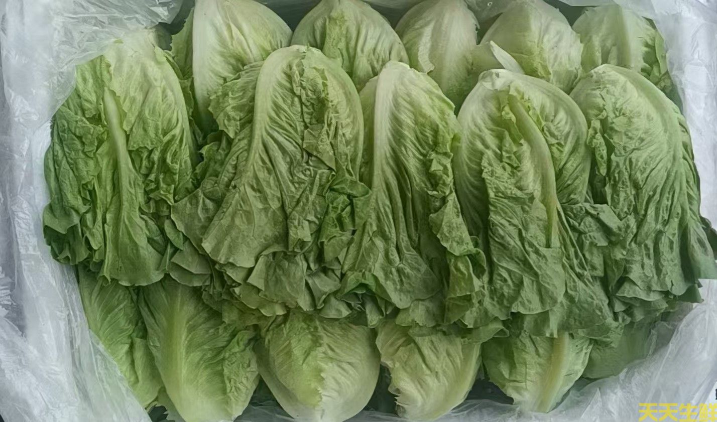 20247.8·߲˼۸Ϊʲô(ͼ1)