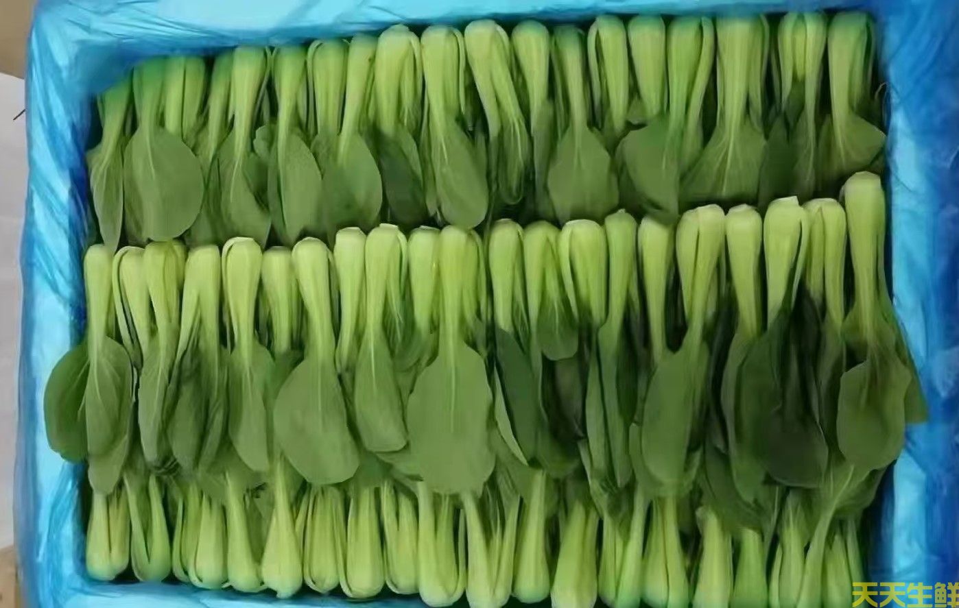 20247.8·߲˼۸Ϊʲô(ͼ2)