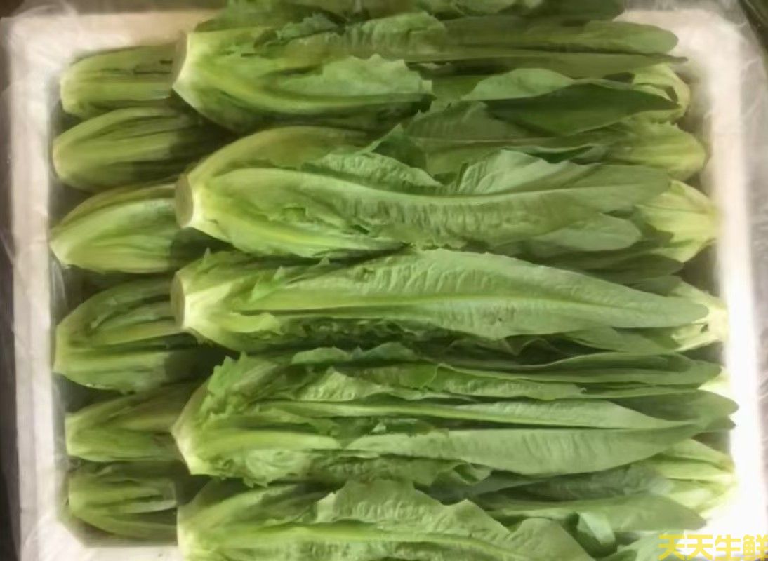 20247.8·߲˼۸Ϊʲô(ͼ3)